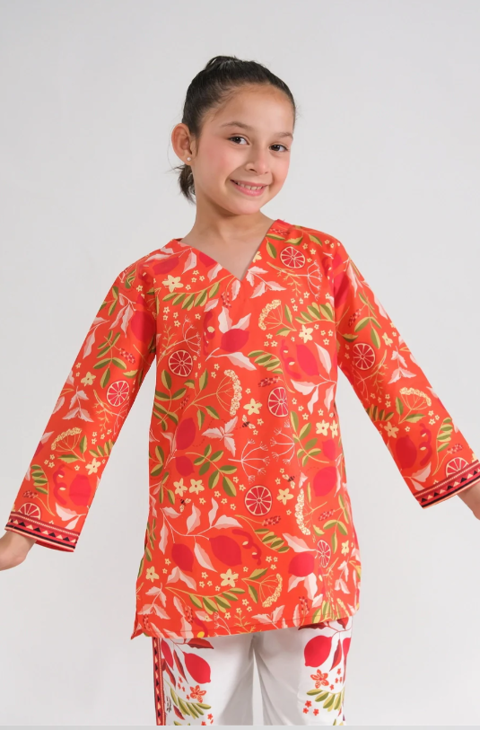 Marrakech Sunset Embroidered 2-Piece Suit for Girls | Festive & Eid Ready 2025 - We Wears