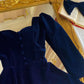Velvet Elegance Winter Dress